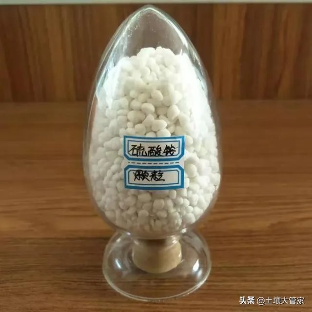 什么是中量元素水溶肥?有哪些作用?