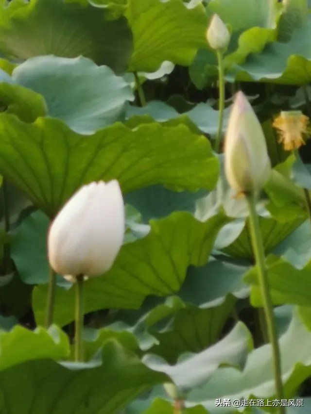 我们三个一起吃饭上课,她们两关系更好一点,我像半透明一样,现在我自己吃饭上课,想问要不要删除微信?