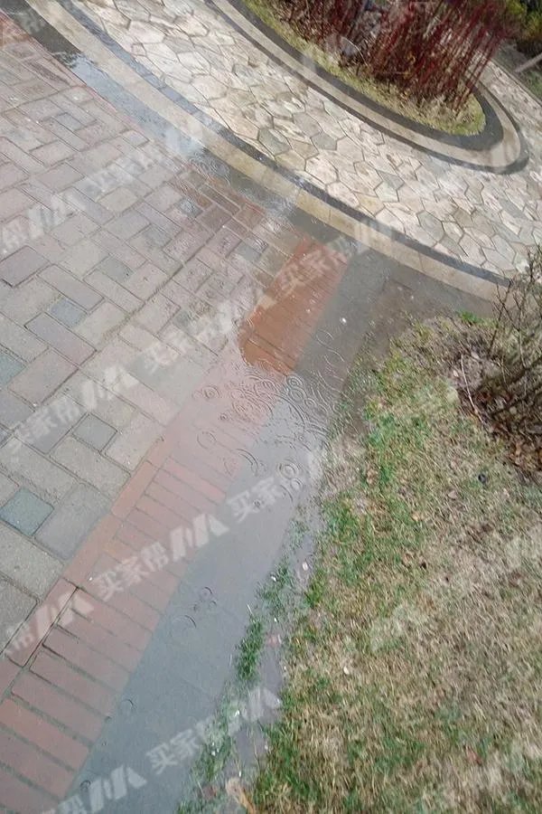 金地物业
