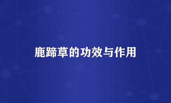 鹿蹄草的功效与作用