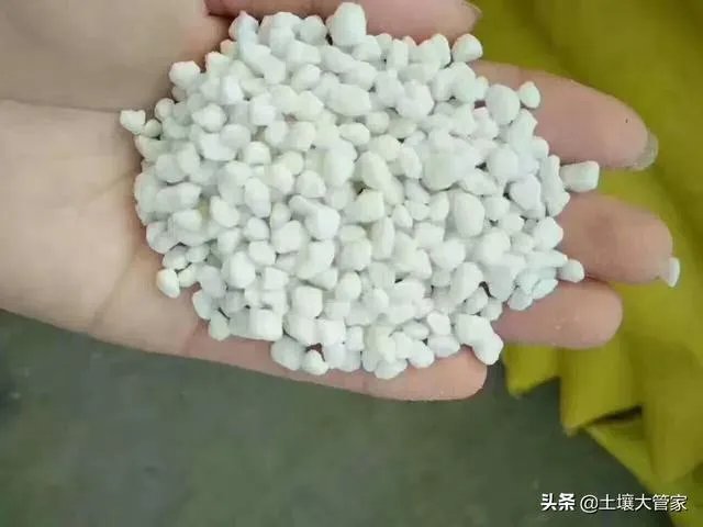什么是中量元素水溶肥?有哪些作用?