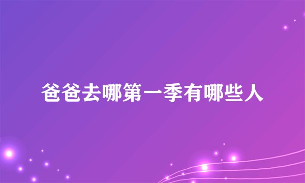 爸爸去哪第一季有哪些人