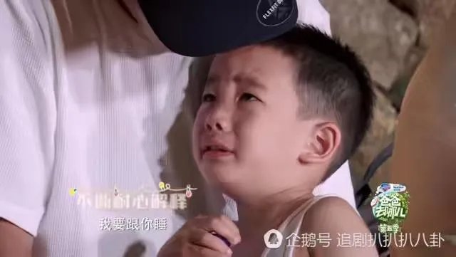 为什么这么多人喜欢Jasper?
