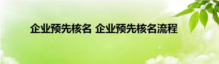 企业预先核名 企业预先核名流程