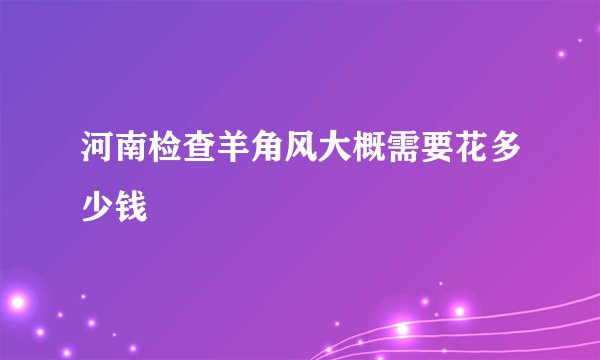 河南检查羊角风大概需要花多少钱