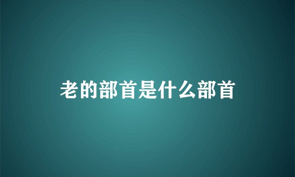 老的部首是什么部首
