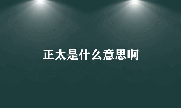 正太是什么意思啊