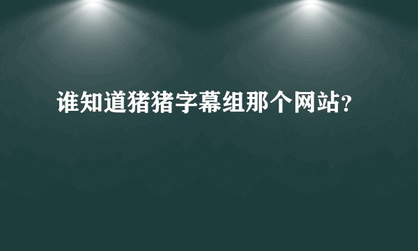 谁知道猪猪字幕组那个网站？