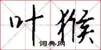 叶猴