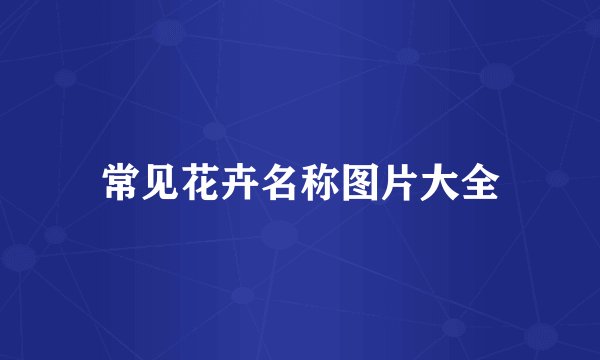 常见花卉名称图片大全