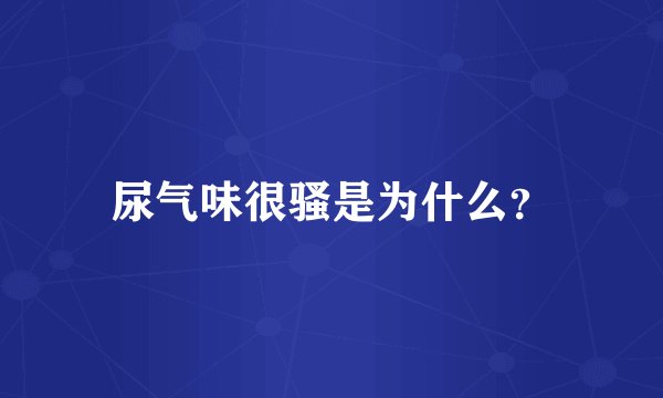 尿气味很骚是为什么？