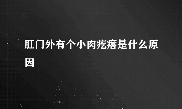 肛门外有个小肉疙瘩是什么原因