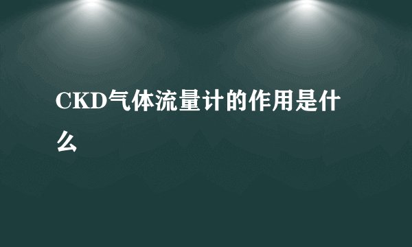 CKD气体流量计的作用是什么