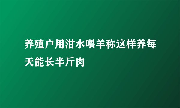 养殖户用泔水喂羊称这样养每天能长半斤肉