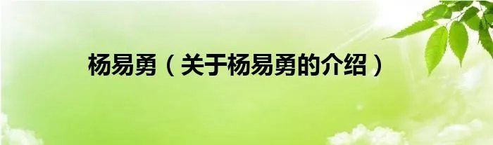 杨易勇（关于杨易勇的介绍）