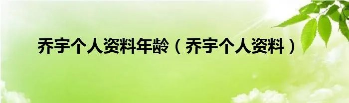 乔宇个人资料年龄（乔宇个人资料）