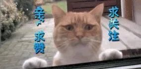 绝地求生国服什么时候可以预约,在哪预约?