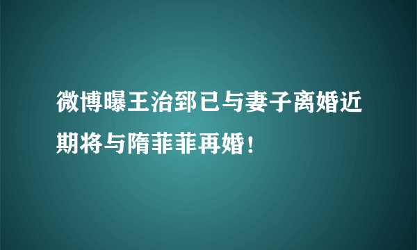 微博曝王治郅已与妻子离婚近期将与隋菲菲再婚！