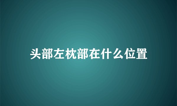 头部左枕部在什么位置