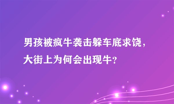 男孩被疯牛袭击躲车底求饶,大街上为何会出现牛?
