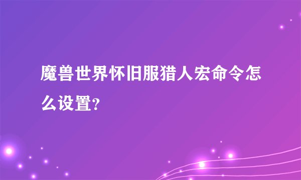 魔兽世界怀旧服猎人宏命令怎么设置？