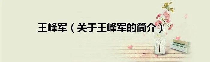 王峰军（关于王峰军的简介）