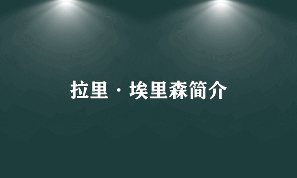 拉里·埃里森简介