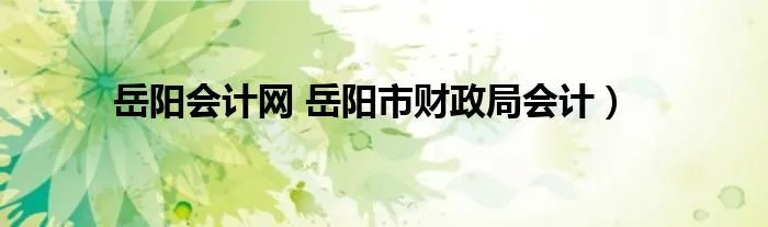 岳阳会计网 岳阳市财政局会计）