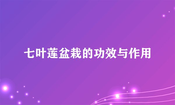 七叶莲盆栽的功效与作用