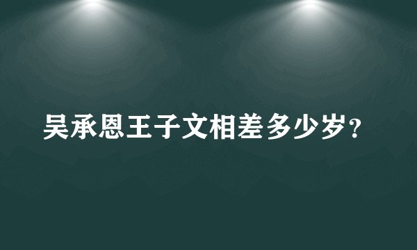 吴承恩王子文相差多少岁？