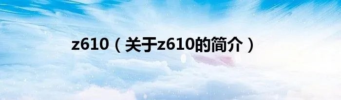 z610（关于z610的简介）
