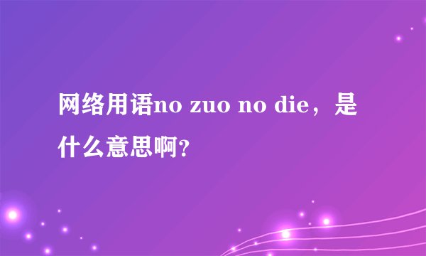 网络用语no zuo no die，是什么意思啊？