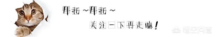 如果火箭不交易安德森的话,还有其他方式补强吗?