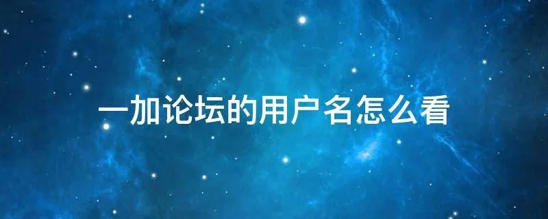 一加论坛的用户名怎么看
