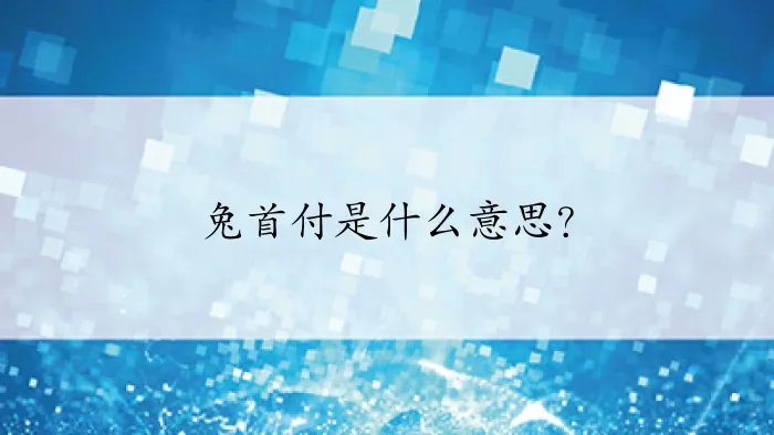 兔首付是什么意思？
