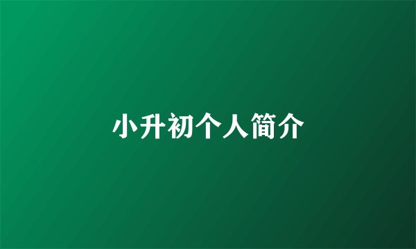 小升初个人简介