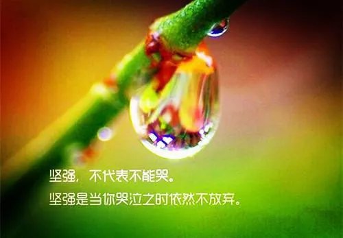 856422纪染沈执 856422纪染全文阅读
