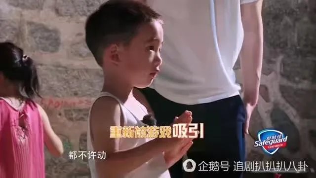 为什么这么多人喜欢Jasper?