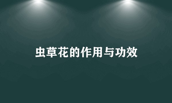 虫草花的作用与功效