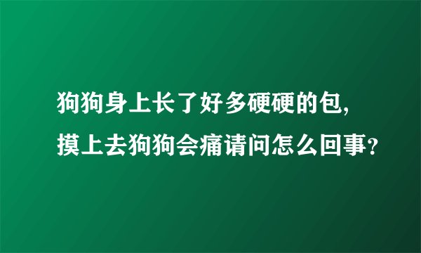 狗狗身上长了好多硬硬的包,摸上去狗狗会痛请问怎么回事?