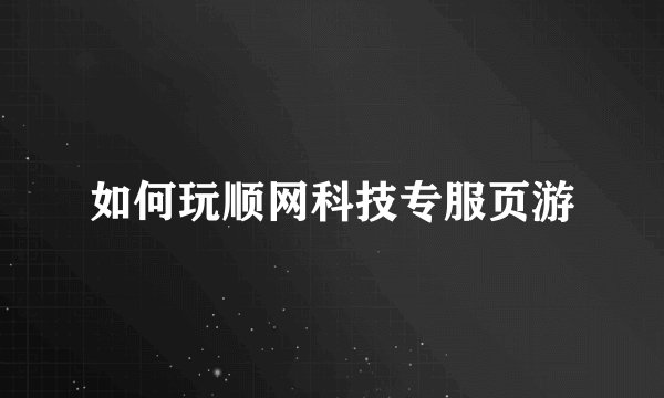 如何玩顺网科技专服页游