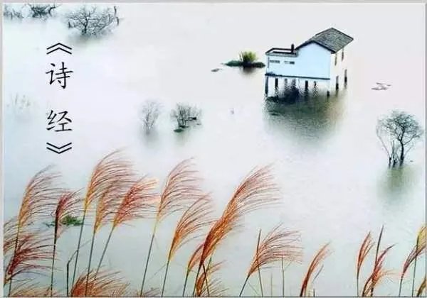 “投我以木桃,报之以琼瑶”是什么意思?