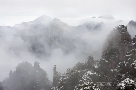 黄山香烟价格表是怎样的?