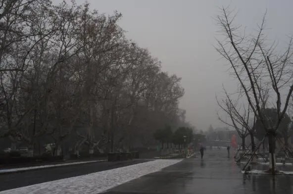 今年为什么是60年以来最冷的一年 为什么都说今年2021是最冷的一年