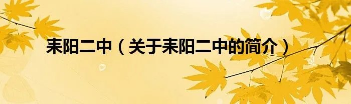 耒阳二中（关于耒阳二中的简介）