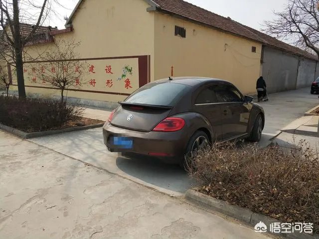农村种植什么最合适?