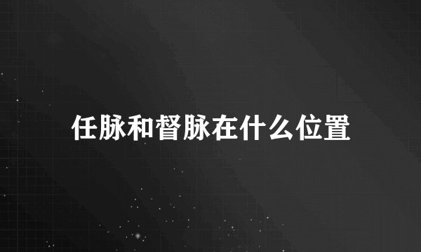 任脉和督脉在什么位置