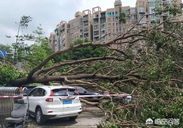 第3号台风森拉克会登陆海南吗?