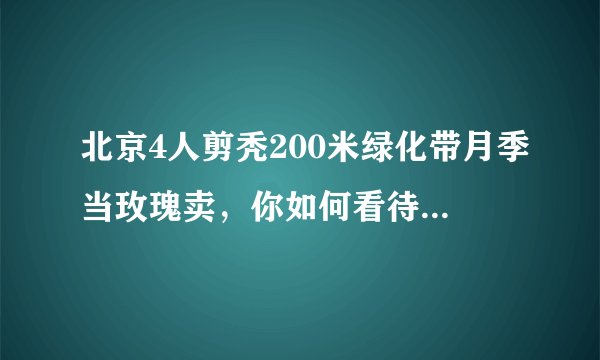北京4人剪秃200米绿化带月季当玫瑰卖，你如何看待他们的这一行为？