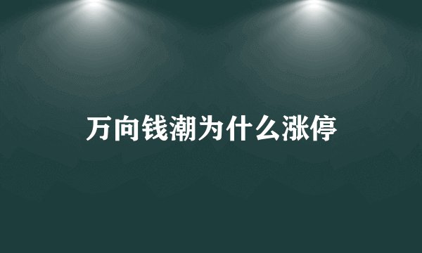 万向钱潮为什么涨停